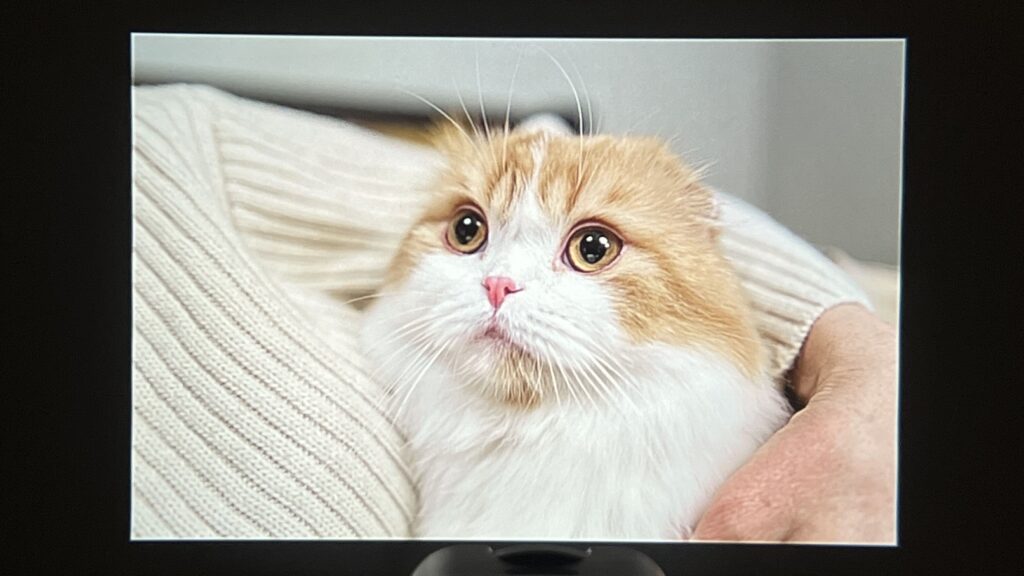 ویدئو پروژکتور 4k ساپورت ارزان